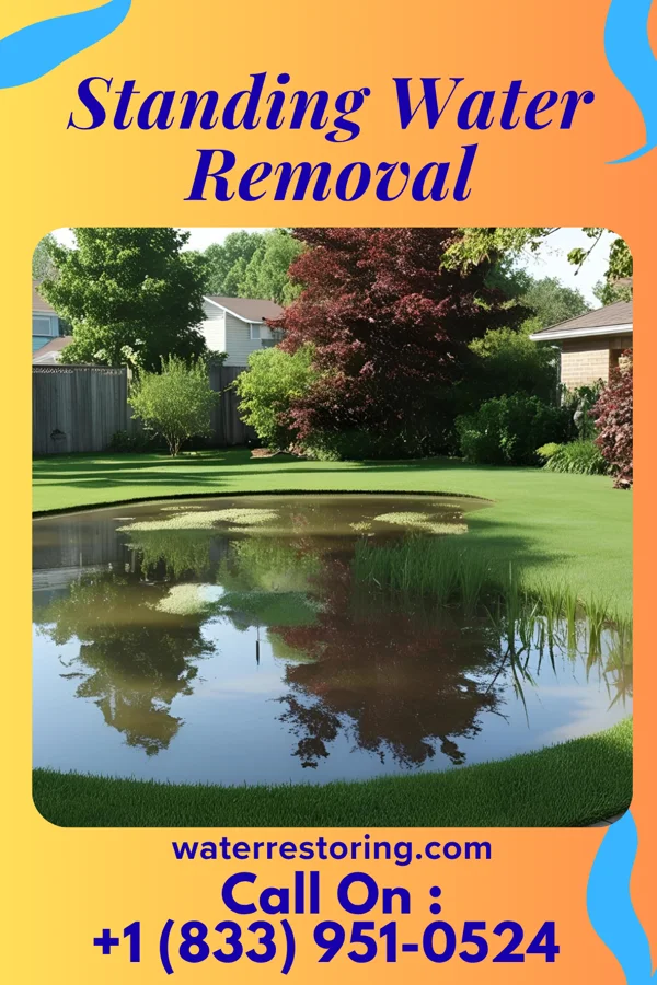 Standing Water Removal in Erhard, MN